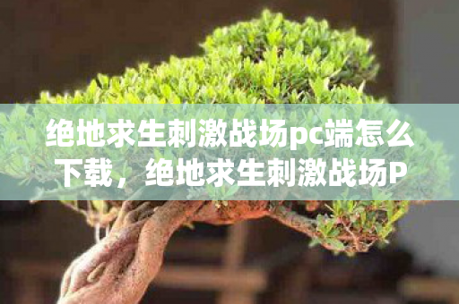 绝地求生刺激战场pc端怎么下载,绝地求生刺激战场PC端,优化设置与战术分析 绝地求生刺激战场pc端怎么下载,绝地求生刺激战场PC端,优化设置与战术分析