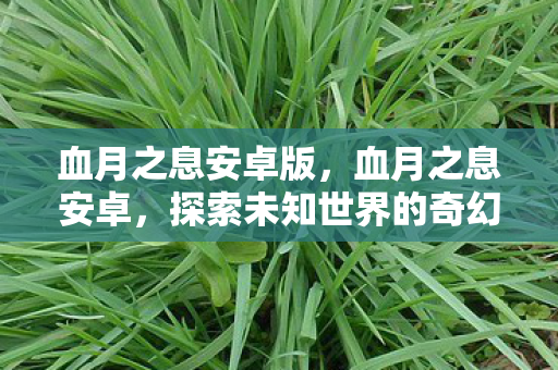 血月之息安卓版，血月之息安卓，探索未知世界的奇幻之旅
