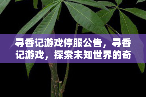 寻香记游戏停服公告,寻香记游戏,探索未知世界的奇妙之旅 寻香记游戏停服公告,寻香记游戏,探索未知世界的奇妙之旅