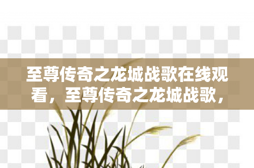 至尊传奇之龙城战歌在线观看，至尊传奇之龙城战歌，重温经典，再战江湖