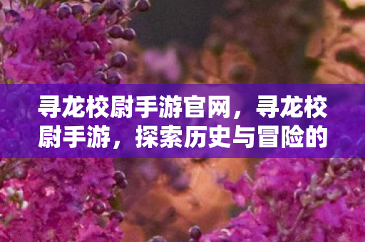 寻龙校尉手游官网，寻龙校尉手游，探索历史与冒险的完美结合