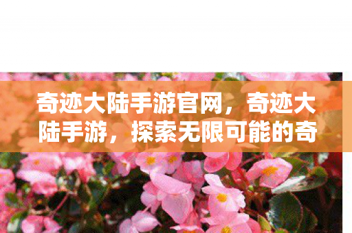 奇迹大陆手游官网,奇迹大陆手游,探索无限可能的奇幻世界 奇迹大陆手游官网,奇迹大陆手游,探索无限可能的奇幻世界
