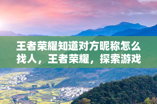 王者荣耀知道对方昵称怎么找人，王者荣耀，探索游戏背后的创新与挑战