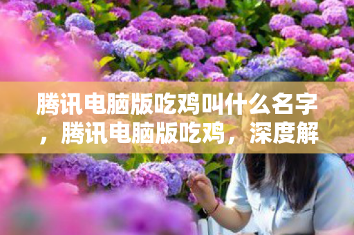 腾讯电脑版吃鸡叫什么名字，腾讯电脑版吃鸡，深度解析其游戏特色与体验
