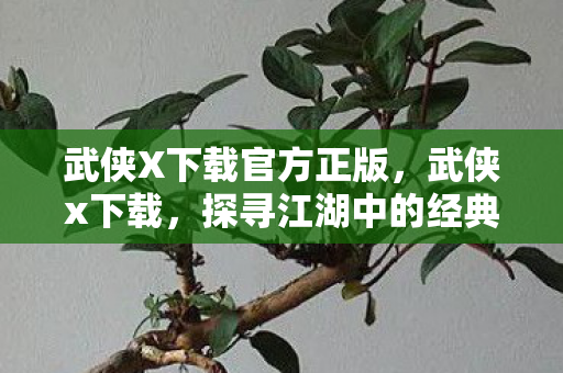 武侠X下载官方正版,武侠x下载,探寻江湖中的经典之作 武侠X下载官方正版,武侠x下载,探寻江湖中的经典之作