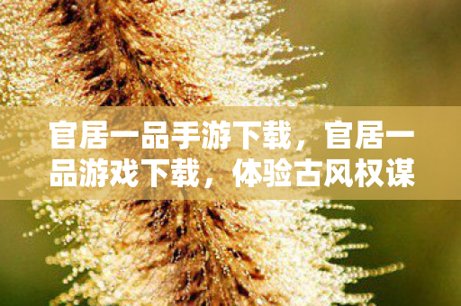 官居一品手游下载,官居一品游戏下载,体验古风权谋,开启仕途之旅 官居一品手游下载,官居一品游戏下载,体验古风权谋,开启仕途之旅