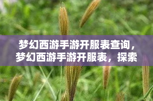 梦幻西游手游开服表查询，梦幻西游手游开服表，探索全新世界的指南