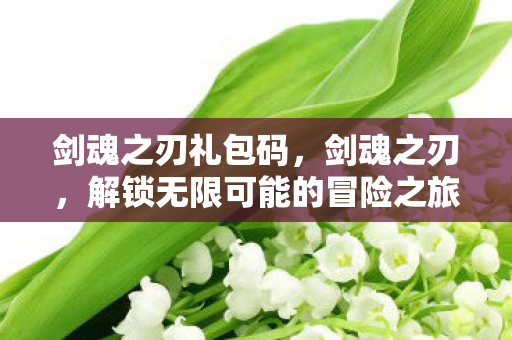 剑魂之刃礼包码，剑魂之刃，解锁无限可能的冒险之旅