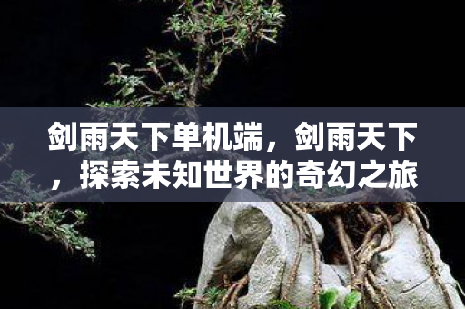 剑雨天下单机端,剑雨天下,探索未知世界的奇幻之旅 剑雨天下单机端,剑雨天下,探索未知世界的奇幻之旅