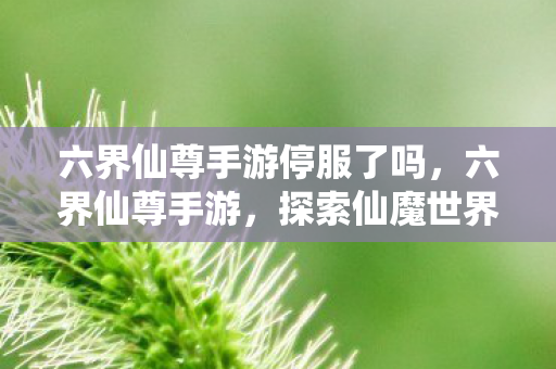 六界仙尊手游停服了吗,六界仙尊手游,探索仙魔世界的奇幻之旅 六界仙尊手游停服了吗,六界仙尊手游,探索仙魔世界的奇幻之旅