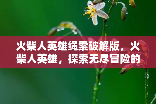 火柴人英雄绳索破解版,火柴人英雄,探索无尽冒险的传奇之旅 火柴人英雄绳索破解版,火柴人英雄,探索无尽冒险的传奇之旅
