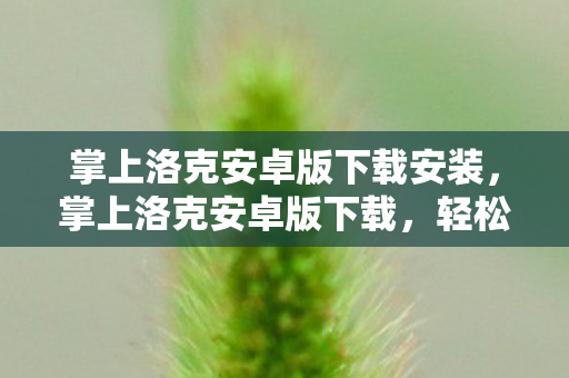 掌上洛克安卓版下载安装,掌上洛克安卓版下载,轻松畅享游戏乐趣 掌上洛克安卓版下载安装,掌上洛克安卓版下载,轻松畅享游戏乐趣