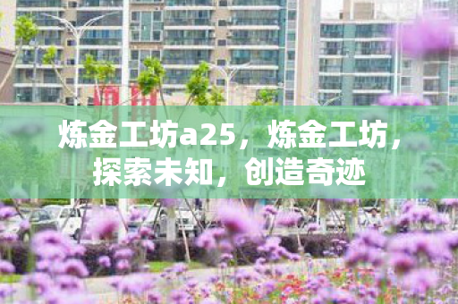 炼金工坊a25,炼金工坊,探索未知,创造奇迹 炼金工坊a25,炼金工坊,探索未知,创造奇迹
