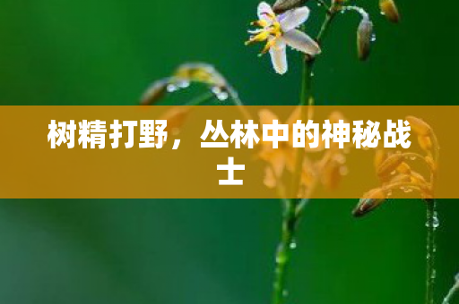 树精打野,丛林中的神秘战士 树精打野,丛林中的神秘战士