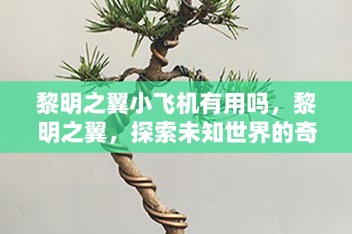 黎明之翼小飞机有用吗,黎明之翼,探索未知世界的奇幻之旅 黎明之翼小飞机有用吗,黎明之翼,探索未知世界的奇幻之旅