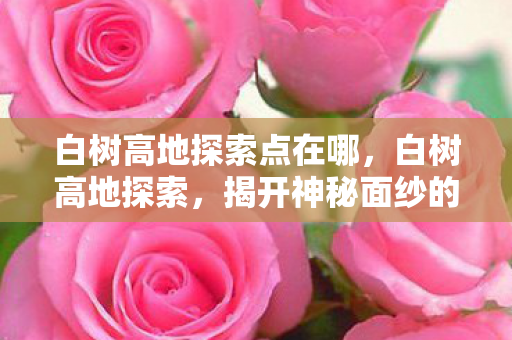 白树高地探索点在哪，白树高地探索，揭开神秘面纱的冒险之旅