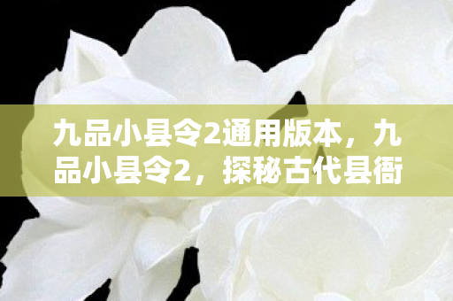 九品小县令2通用版本,九品小县令2,探秘古代县衙的行政智慧与治理艺术 九品小县令2通用版本,九品小县令2,探秘古代县衙的行政智慧与治理艺术