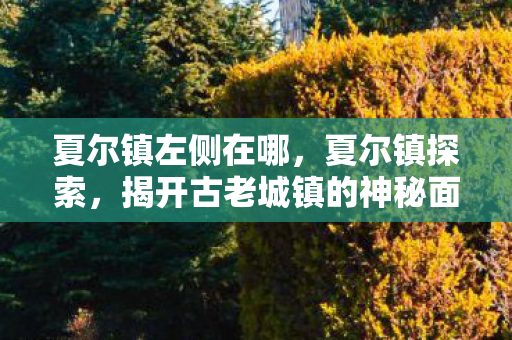 夏尔镇左侧在哪,夏尔镇探索,揭开古老城镇的神秘面纱 夏尔镇左侧在哪,夏尔镇探索,揭开古老城镇的神秘面纱