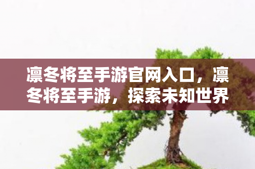 凛冬将至手游官网入口，凛冬将至手游，探索未知世界的奇幻之旅