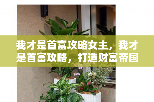 我才是首富攻略女主,我才是首富攻略,打造财富帝国的智慧与策略 我才是首富攻略女主,我才是首富攻略,打造财富帝国的智慧与策略