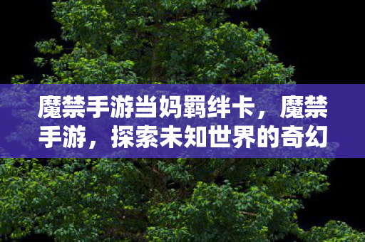 魔禁手游当妈羁绊卡,魔禁手游,探索未知世界的奇幻之旅 魔禁手游当妈羁绊卡,魔禁手游,探索未知世界的奇幻之旅