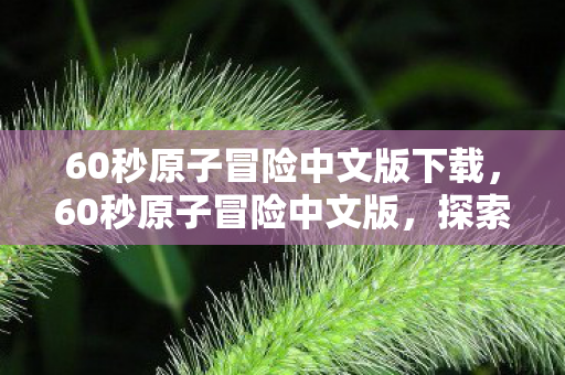 60秒原子冒险中文版下载,60秒原子冒险中文版,探索未知世界的奇妙之旅 60秒原子冒险中文版下载,60秒原子冒险中文版,探索未知世界的奇妙之旅