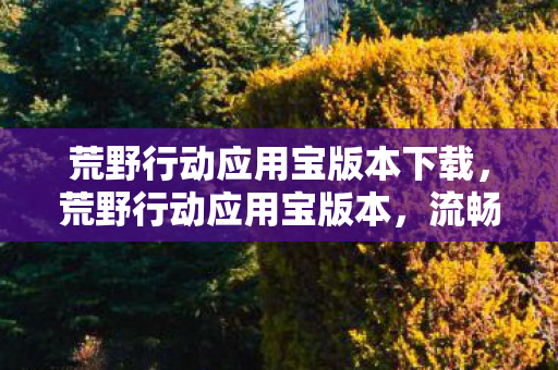 荒野行动应用宝版本下载,荒野行动应用宝版本,流畅体验与丰富福利的完美结合 荒野行动应用宝版本下载,荒野行动应用宝版本,流畅体验与丰富福利的完美结合