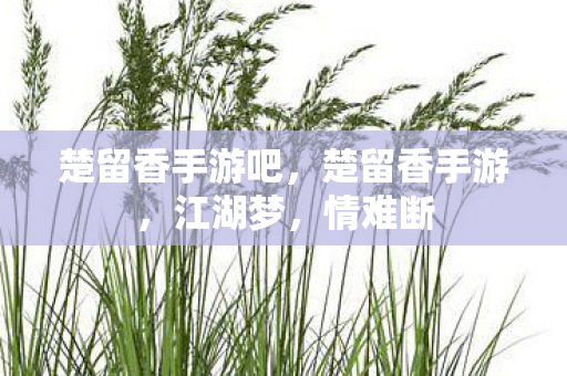 楚留香手游吧，楚留香手游，江湖梦，情难断