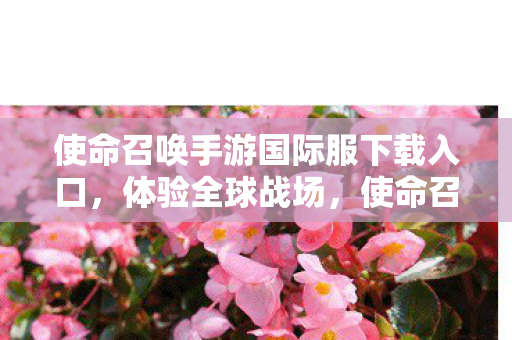 使命召唤手游国际服下载入口,体验全球战场,使命召唤手游国际服下载指南 使命召唤手游国际服下载入口,体验全球战场,使命召唤手游国际服下载指南