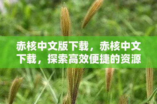 赤核中文版下载,赤核中文下载,探索高效便捷的资源获取方式 赤核中文版下载,赤核中文下载,探索高效便捷的资源获取方式
