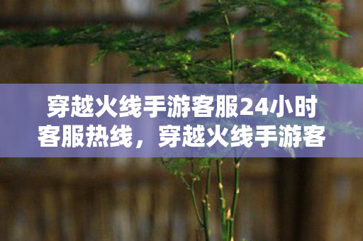 穿越火线手游客服24小时客服热线,穿越火线手游客服,高效、专业的玩家支持 穿越火线手游客服24小时客服热线,穿越火线手游客服,高效、专业的玩家支持