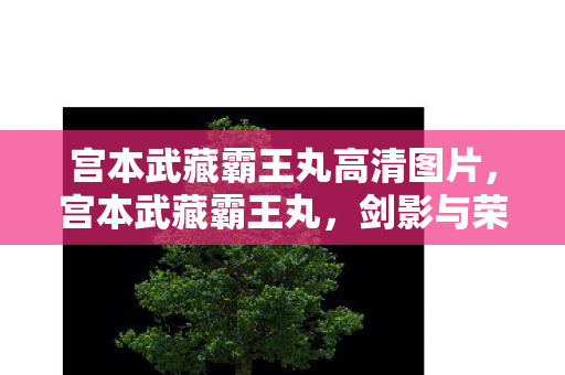 宫本武藏霸王丸高清图片,宫本武藏霸王丸,剑影与荣耀的传奇 宫本武藏霸王丸高清图片,宫本武藏霸王丸,剑影与荣耀的传奇