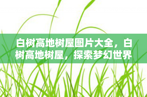 白树高地树屋图片大全,白树高地树屋,探索梦幻世界的奇妙居所 白树高地树屋图片大全,白树高地树屋,探索梦幻世界的奇妙居所