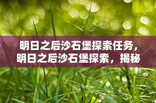 明日之后沙石堡探索任务，明日之后沙石堡探索，揭秘未知世界的神秘面纱