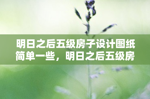 明日之后五级房子设计图纸简单一些，明日之后五级房子设计图纸，打造理想家园的蓝图