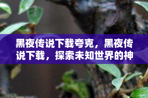黑夜传说下载夸克,黑夜传说下载,探索未知世界的神秘之旅 黑夜传说下载夸克,黑夜传说下载,探索未知世界的神秘之旅