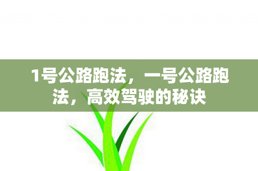 1号公路跑法,一号公路跑法,高效驾驶的秘诀 1号公路跑法,一号公路跑法,高效驾驶的秘诀