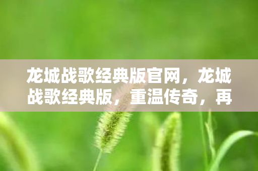 龙城战歌经典版官网，龙城战歌经典版，重温传奇，再燃激情