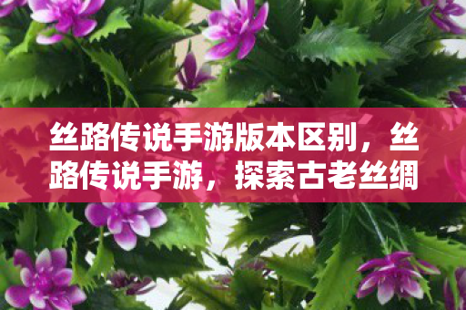 丝路传说手游版本区别,丝路传说手游,探索古老丝绸之路的奇幻之旅 丝路传说手游版本区别,丝路传说手游,探索古老丝绸之路的奇幻之旅