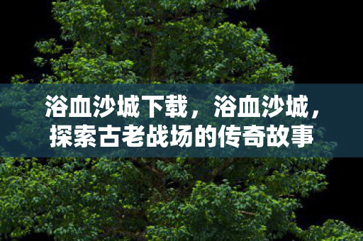 浴血沙城下载,浴血沙城,探索古老战场的传奇故事 浴血沙城下载,浴血沙城,探索古老战场的传奇故事