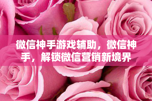 微信神手游戏辅助,微信神手,解锁微信营销新境界 微信神手游戏辅助,微信神手,解锁微信营销新境界