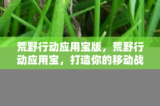 荒野行动应用宝版,荒野行动应用宝,打造你的移动战场新体验 荒野行动应用宝版,荒野行动应用宝,打造你的移动战场新体验