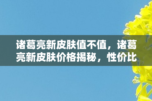 诸葛亮新皮肤值不值,诸葛亮新皮肤价格揭秘,性价比与收藏价值的双重考量 诸葛亮新皮肤值不值,诸葛亮新皮肤价格揭秘,性价比与收藏价值的双重考量