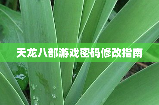 天龙八部游戏密码修改指南 天龙八部游戏密码修改指南