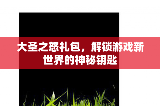 大圣之怒礼包,解锁游戏新世界的神秘钥匙 大圣之怒礼包,解锁游戏新世界的神秘钥匙