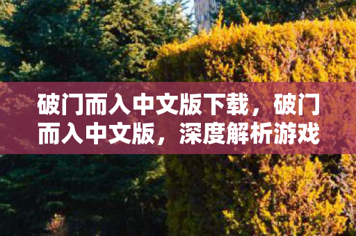 破门而入中文版下载,破门而入中文版,深度解析游戏本地化背后的故事 破门而入中文版下载,破门而入中文版,深度解析游戏本地化背后的故事