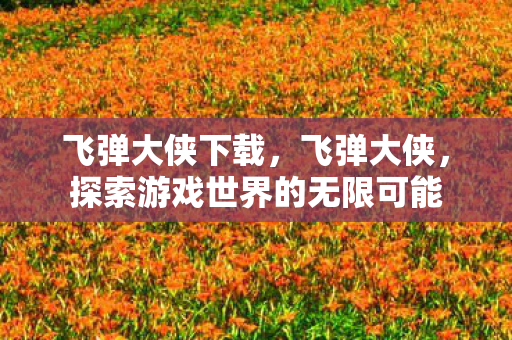 飞弹大侠下载,飞弹大侠,探索游戏世界的无限可能 飞弹大侠下载,飞弹大侠,探索游戏世界的无限可能