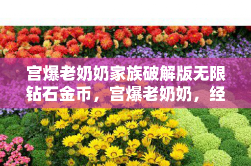 宫爆老奶奶家族破解版无限钻石金币,宫爆老奶奶,经典游戏的魅力与传承 宫爆老奶奶家族破解版无限钻石金币,宫爆老奶奶,经典游戏的魅力与传承