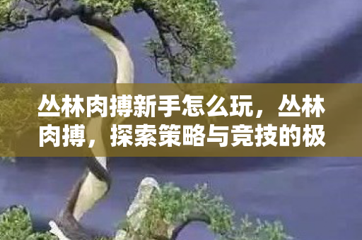 丛林肉搏新手怎么玩,丛林肉搏,探索策略与竞技的极限 丛林肉搏新手怎么玩,丛林肉搏,探索策略与竞技的极限
