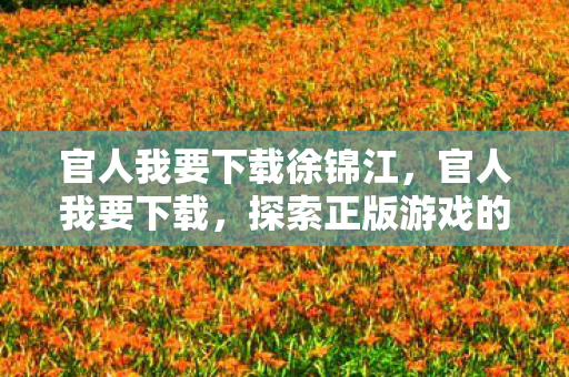 官人我要下载徐锦江,官人我要下载,探索正版游戏的便捷之道 官人我要下载徐锦江,官人我要下载,探索正版游戏的便捷之道